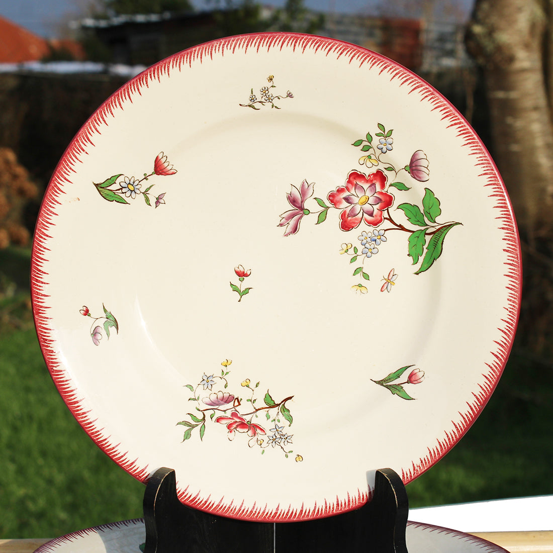 Assiette W24HB19 en faïence rouge D 27cm - Multicolore main image 0
