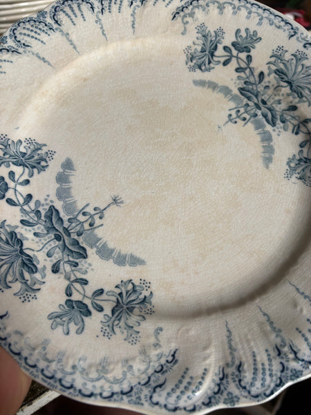 Lot de 6 assiettes plates anciennes patinées Saint-Amand et Hamage « Régence »