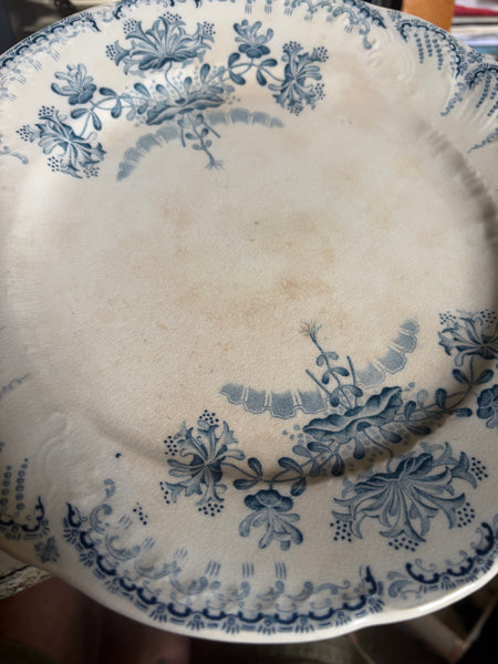 Lot de 6 assiettes plates anciennes patinées Saint-Amand et Hamage « Régence »