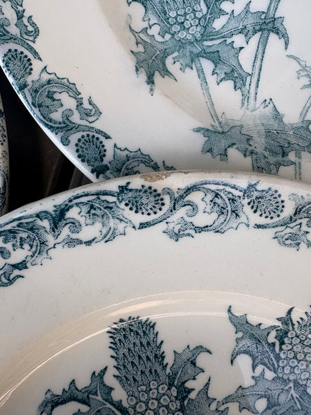 Lot de 6 assiettes anciennes Righi – L.G. Clairefontaine – Terre de Fer – Ø 21,7 cm – Décor chardon bleu