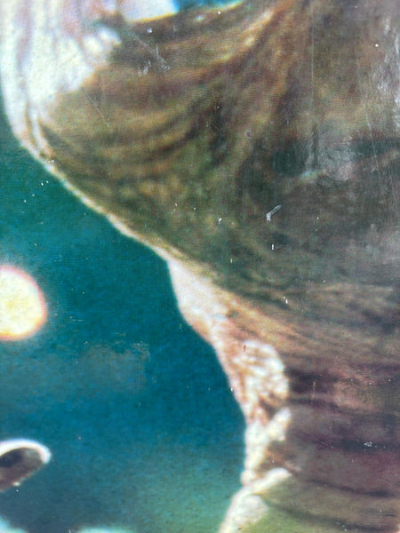 E.T. l’extra-terrestre – Poster original d’époque 1982 Scandecor sur panneau en bois