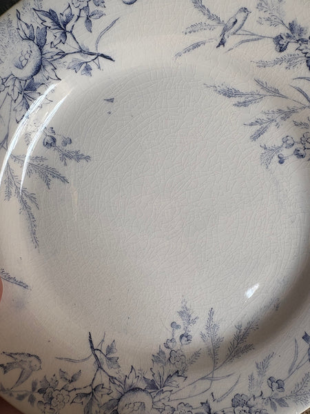 Ancienne assiette plate 23.5 cm en faïence / Creil et Montereau modèle Linotte