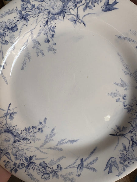 Ancienne assiette plate 23.2 cm en faïence / Creil et Montereau modèle Linotte