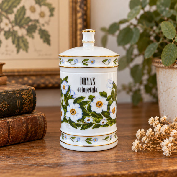 Pot à pharmacie vintage en verre opalin Verreries Brosse – Vieux-Rouen – DRYAS octopetala