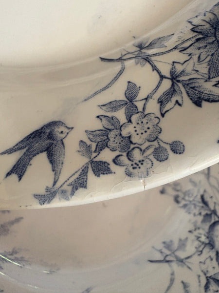 Ancienne assiette plate 23.2 cm en faïence / Creil et Montereau modèle Linotte