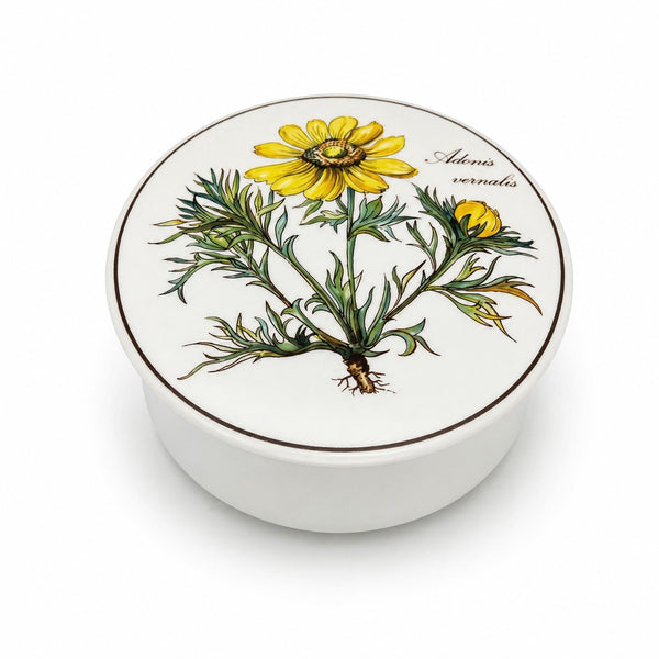 Bonbonnière ronde en porcelaine Villeroy & Boch modèle Botanica décor Adonis vernalis