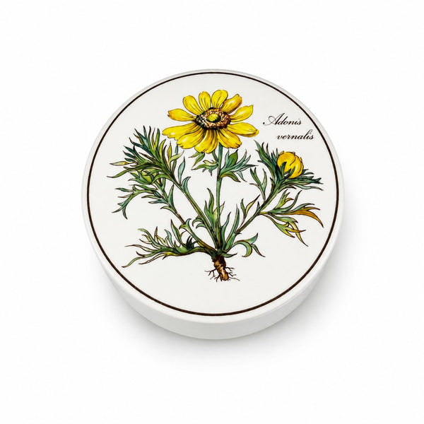 Bonbonnière ronde en porcelaine Villeroy & Boch modèle Botanica décor Adonis vernalis