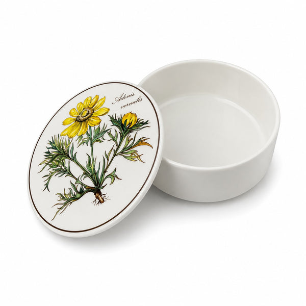 Bonbonnière ronde en porcelaine Villeroy & Boch modèle Botanica décor Adonis vernalis