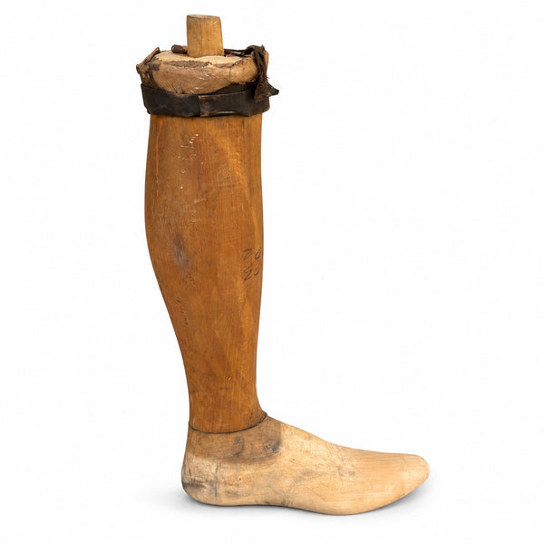 Ancienne prothèse tibiale – jambe en bois, pièce de cabinet de curiosités