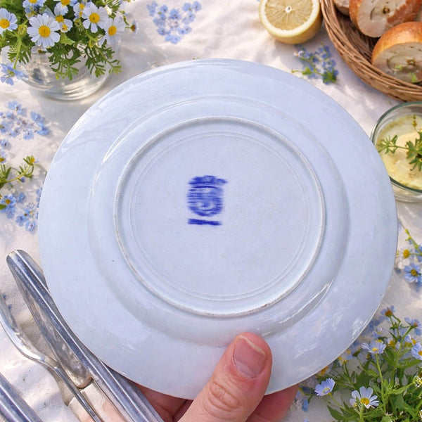 Assiette plate ancienne Saint-Amand – modèle Paysage – 22,8 cm