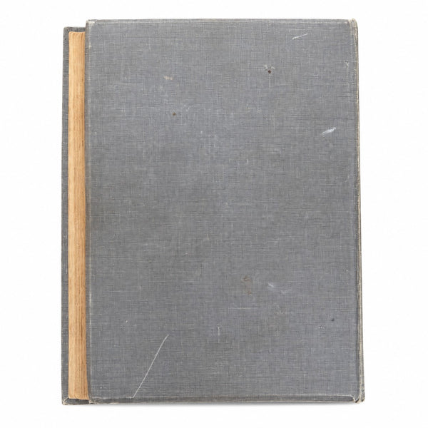 Album ancien vide pour cartes postales CPA Art Nouveau – 50 pages – Capacité 200 cartes
