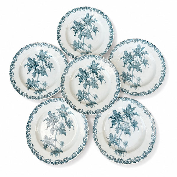 Lot de 6 assiettes anciennes Righi – L.G. Clairefontaine – Terre de Fer – Ø 21,7 cm – Décor chardon bleu