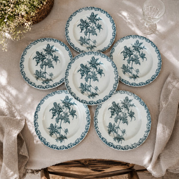 Lot de 6 assiettes anciennes Righi – L.G. Clairefontaine – Terre de Fer – Ø 21,7 cm – Décor chardon bleu