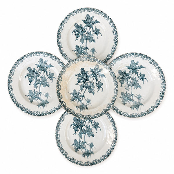 Lot de 5 assiettes anciennes Righi – L.G. Clairefontaine – Terre de Fer – Ø 21,7 cm – Décor chardon bleu