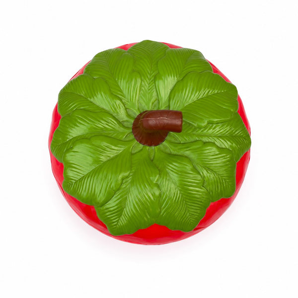 Seau à glaçons vintage en forme de fraise – Plastique rouge avec couvercle