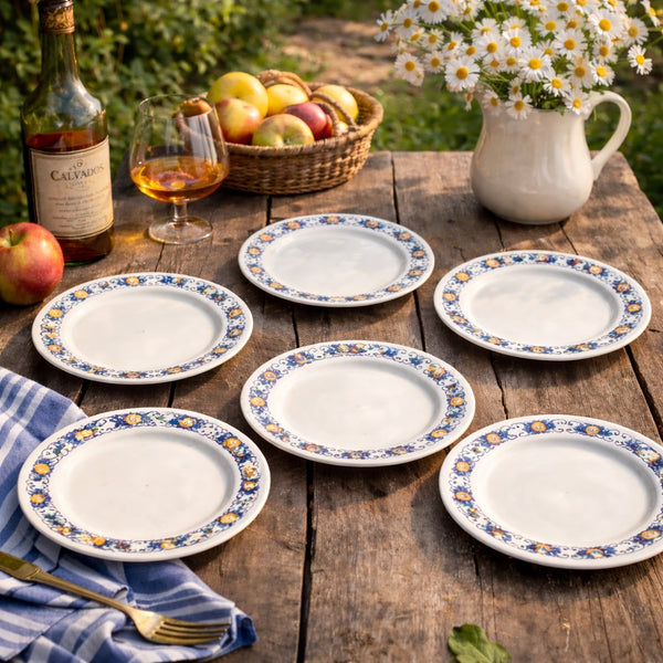 Lot de 6 assiettes plates vintage publicitaires “Cadiz – Calvados Ogeval” – Villeroy & Boch