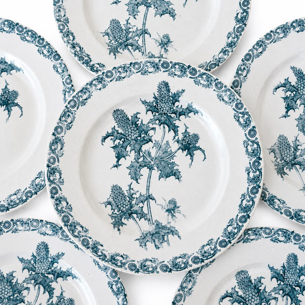 Lot de 6 assiettes anciennes Righi – L.G. Clairefontaine – Terre de Fer – Ø 21,7 cm – Décor chardon bleu