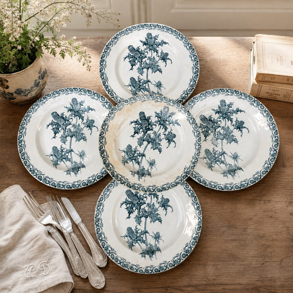 Lot de 5 assiettes anciennes Righi – L.G. Clairefontaine – Terre de Fer – Ø 21,7 cm – Décor chardon bleu