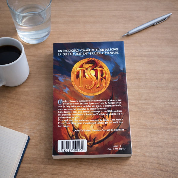 Les Royaumes Oubliés – Tome 5 – La Trilogie de l’Elfe Noir – Tome 2 – Terre d’Exil