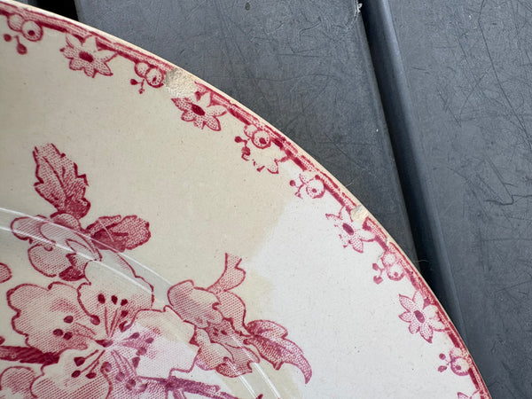 Assiette ancienne en faïence Sarreguemines Digoin – modèle Favori – décor aux oiseaux et fleurs – avec éclats