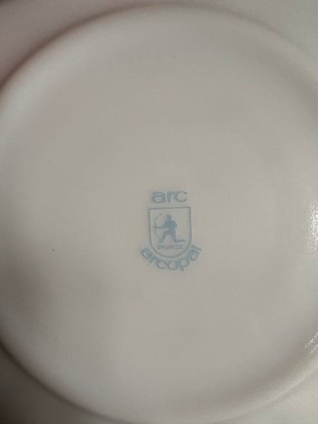 Ensemble de 6 assiettes à dessert en Arcopal / modèle Veronica / Myosotis