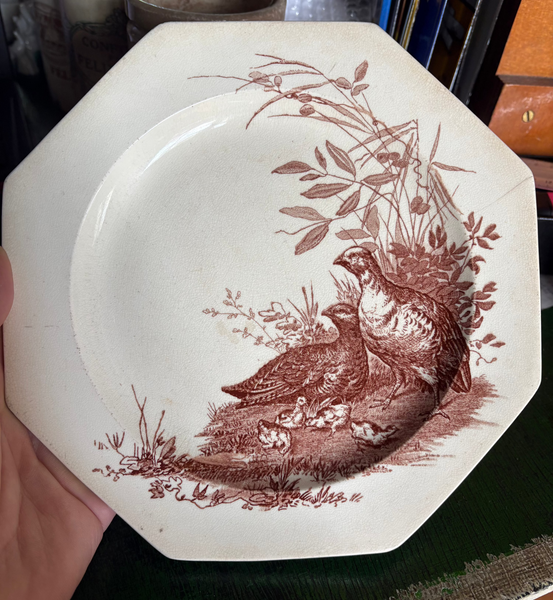Ancienne assiette 21.7 cm en faïence anglaise Wedgwood / modèle Rustic / Perdrix