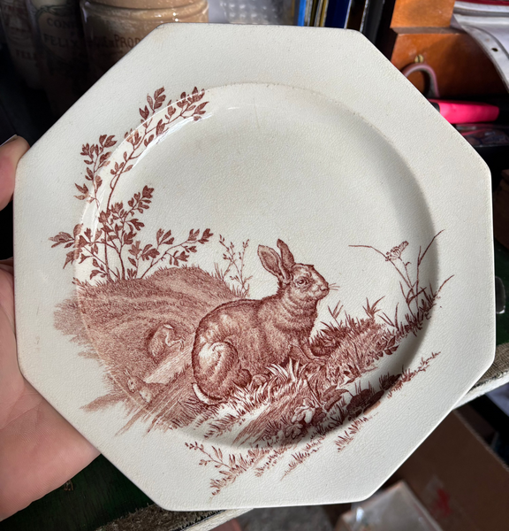 Ancienne assiette 22 cm en faïence anglaise Wedgwood / modèle Rustic / Lièvre