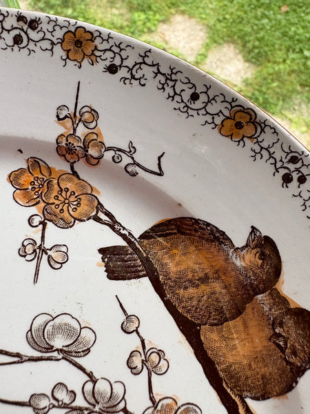 Ancienne assiette à dessert 20.4 cm en faïence polychrome de Pexonne modèle Floride