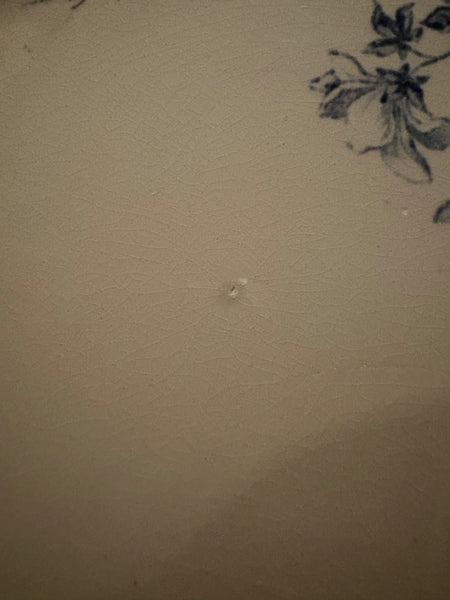 Ancien plat ovale 43.5 cm / Creil et Montereau modèle Perruche