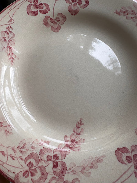 Paire d'assiettes creuses 23 cm / Creil et Montereau modèle Richelieu