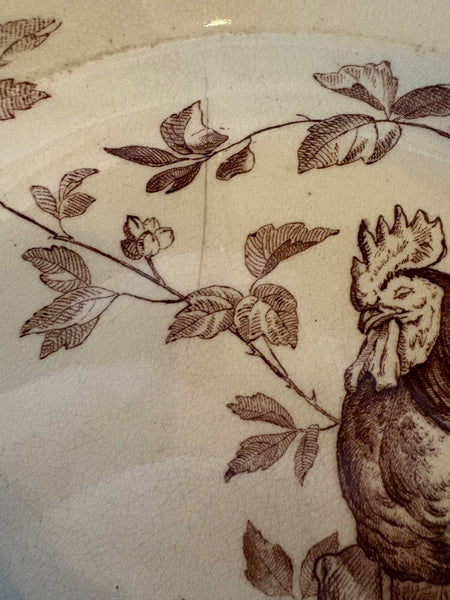 Ancienne assiette 22 cm en faïence anglaise Wedgwood / modèle Rustic / Coq