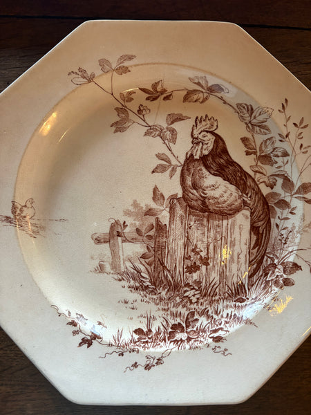 Ancienne assiette 22 cm en faïence anglaise Wedgwood / modèle Rustic / Coq