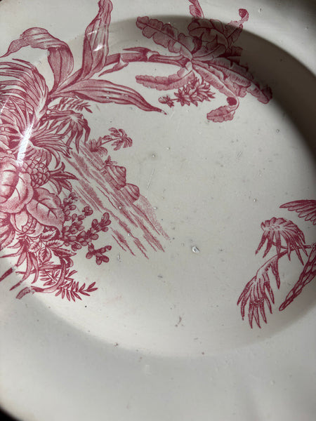 Plat creux ancien Longchamp – modèle « Exotique » – Terre de fer