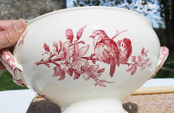 Grande soupière ancienne en faïence de Sarreguemines modèle Favori