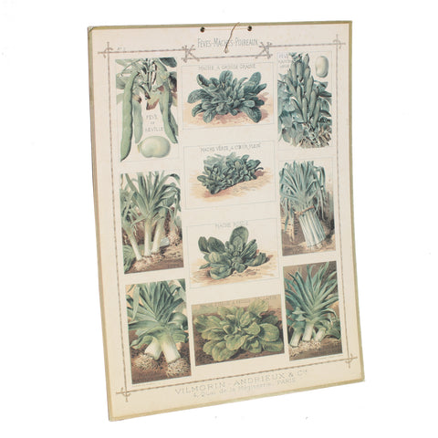 Affiche cartonnée Vilmorin Fèves - Mâches - Poireaux / Bernard Carant / édition vintage.