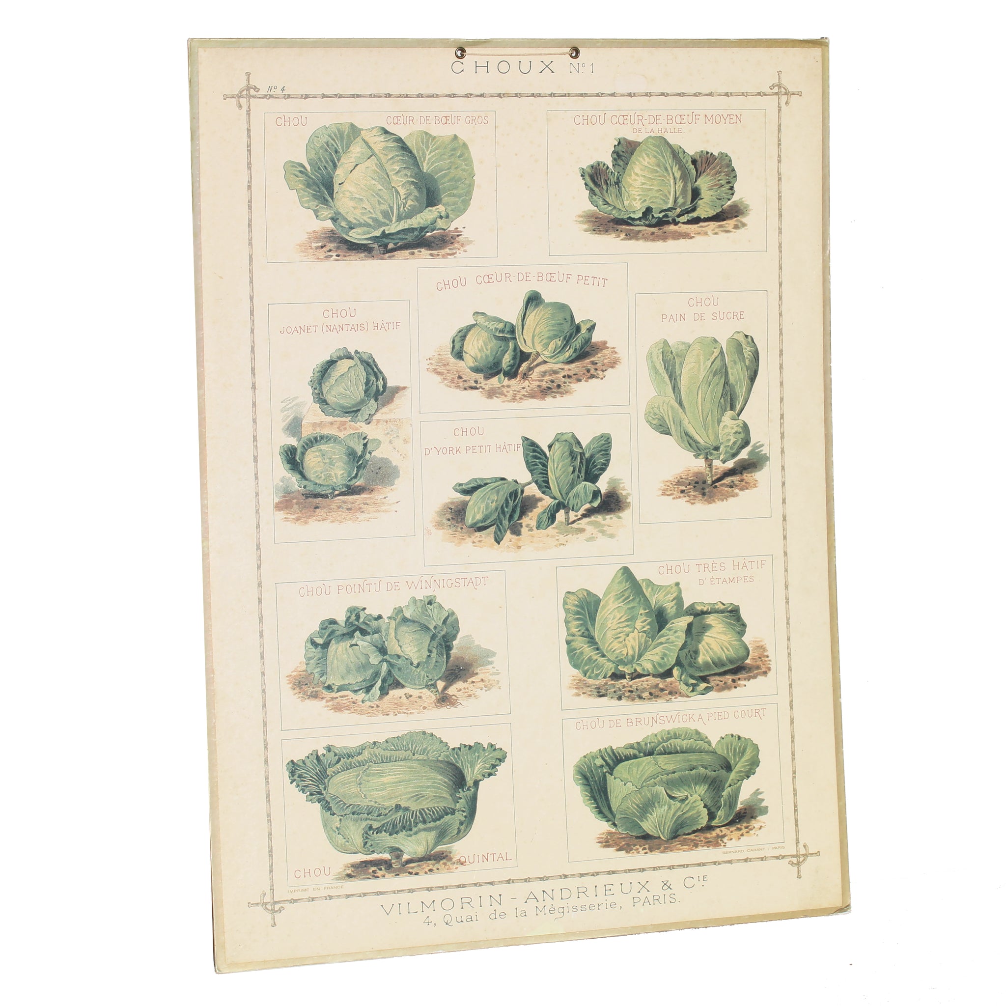 Affiche cartonnée Vilmorin Choux / Bernard Carant / édition vintage