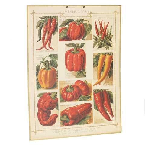 Affiche cartonnée Vilmorin Piments / Bernard Carant / édition vintage