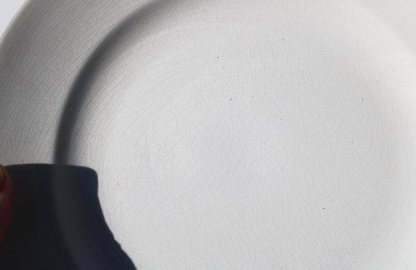 Ensemble de 5 assiettes plates anciennes en faïence de Digoin Sarreguemines blanches shabby
