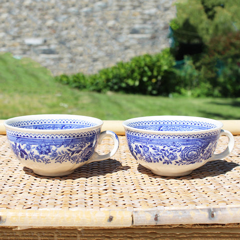 Paire de tasses à thé anciennes en faïence de Villeroy & Boch modèle Burgenland