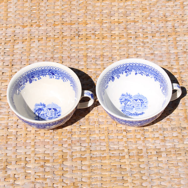 Paire de tasses à thé anciennes en faïence de Villeroy & Boch modèle Burgenland