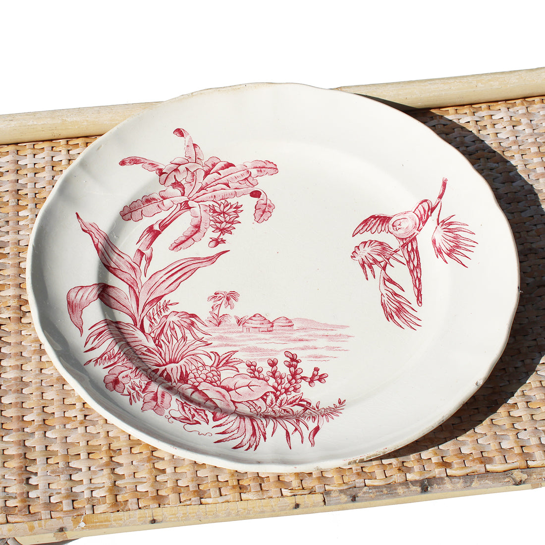 Ancien plat rond 30 cm en faïence de Longchamp modèle Exotique