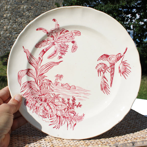 Ancien plat rond 30 cm en faïence de Longchamp modèle Exotique