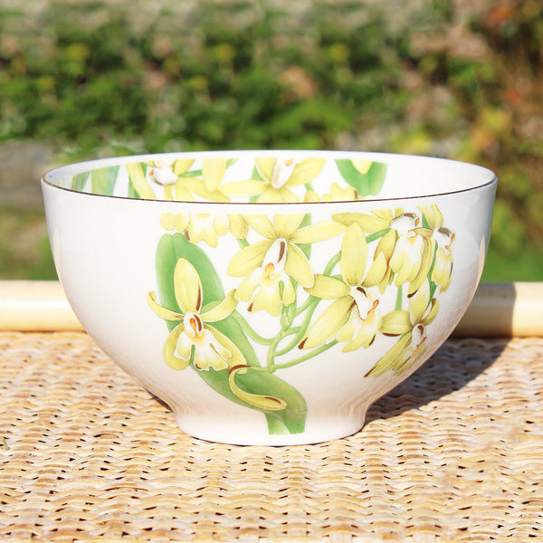 Petit saladier / bol premium Bone China Villeroy & Boch modèle Amazonia