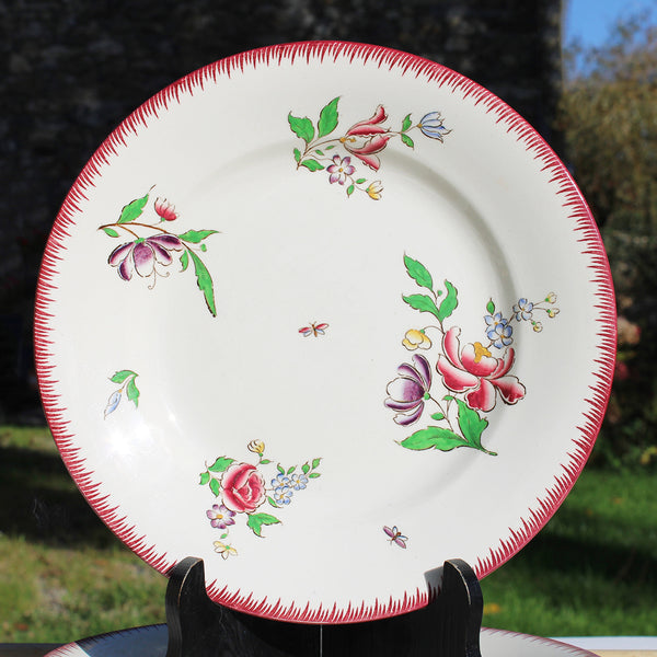 Ensemble de 6 assiettes plates 24 cm en faïence de U & C Sarreguemines modèle Strasbourg