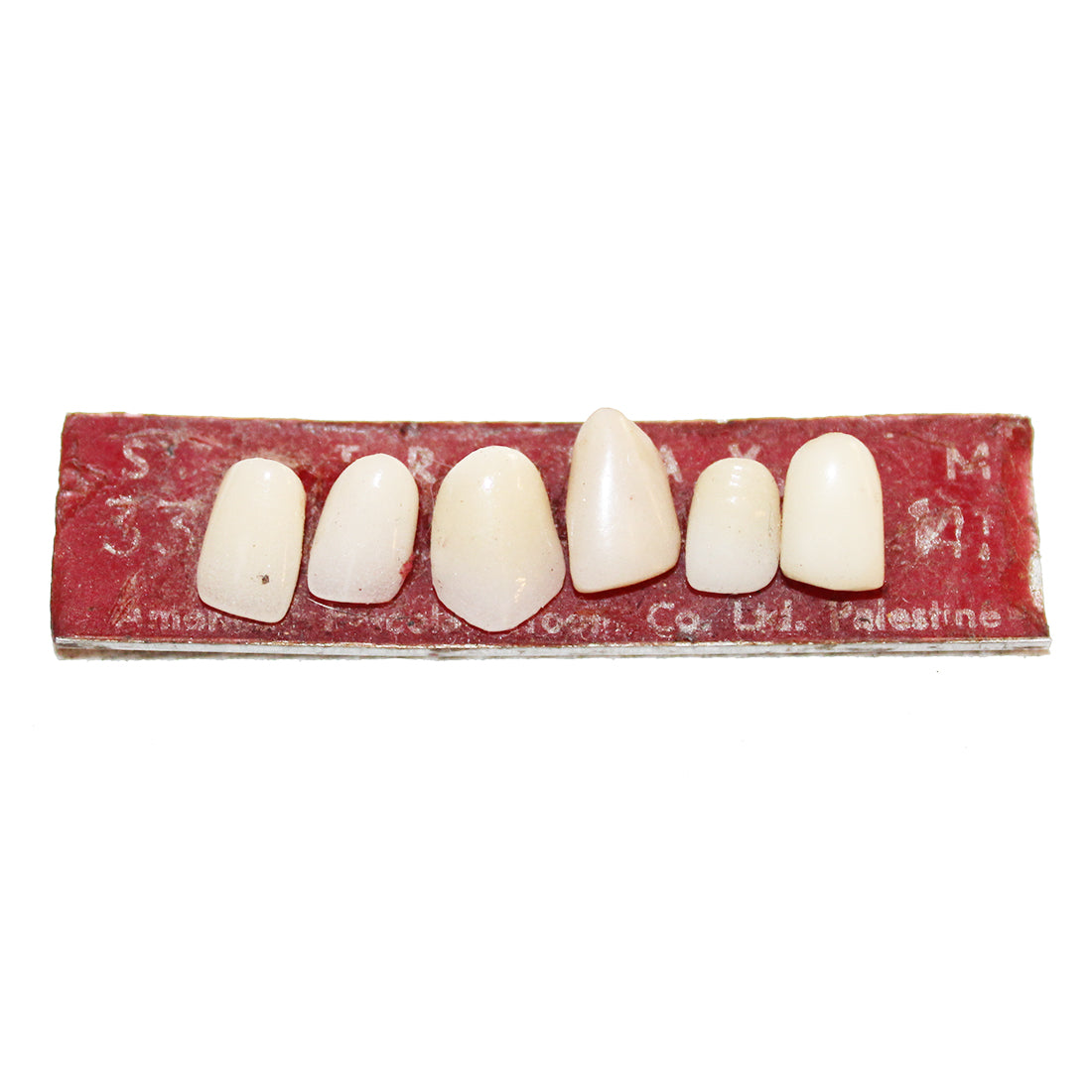 Ancienne plaquette de 6 prothèses dentaires / dentiste