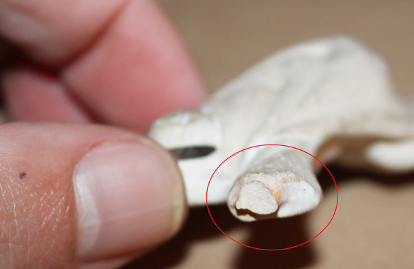 Ensemble de 5 anciennes figurines / Personnages arabes en plâtre peint / Algérie