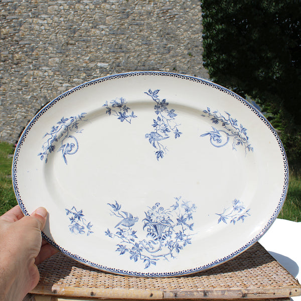 Ancien plat ovale 43.5 cm / Creil et Montereau modèle Perruche
