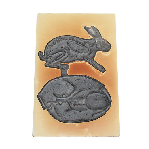 Ancien tampon / timbre scolaire plaque multi croquis - Le lapin