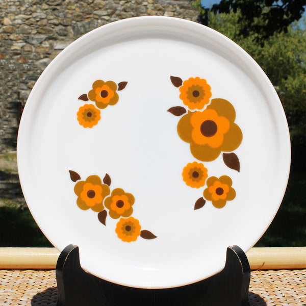 6 ASSIETTES PLATES ET 6 ASSIETTES DESSERT Losange Vert Orange ARCOPAL 236102 Imgx300 8777 6 ASSIETTES PLATES ET 6 ASSIETTES DESSERT Losange Vert Orange ARCOPAL 236102 Imgx300 8777