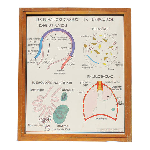 Affiche pédagogique scolaire Rossignol vintage / La tuberculose / La respiration